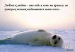 Виктория Иванова фотография #16