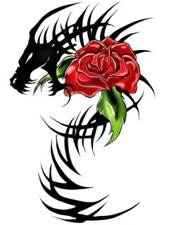 №15, Олександр Стефаник №15, Олександр Стефаник