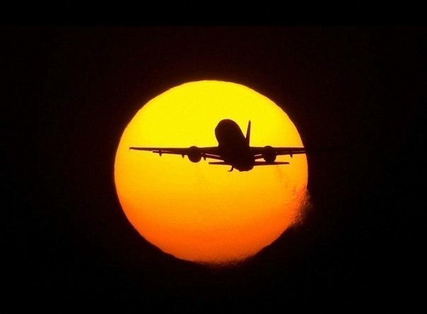 Nikita Kryzhik | Киев