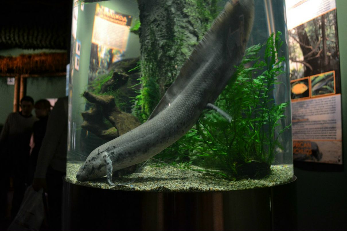 Ленка Щербакова NIKTCHEMY | Санкт-Петербург