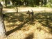 Дана Овчарка фотография #28