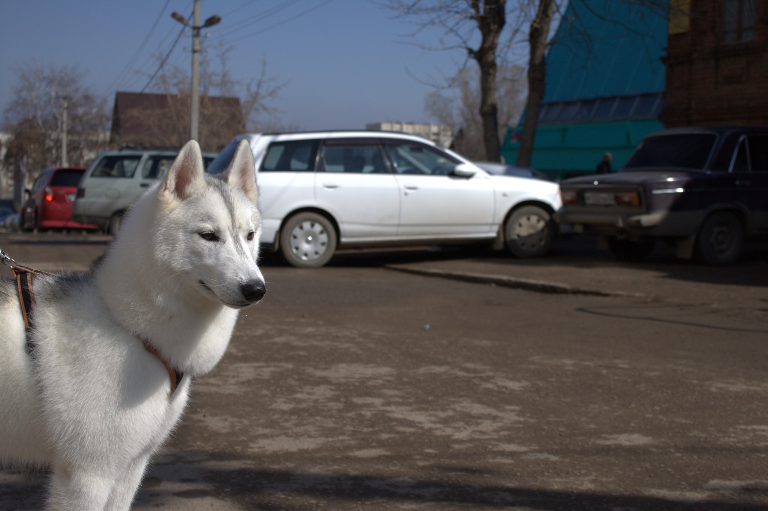 Фото профиля