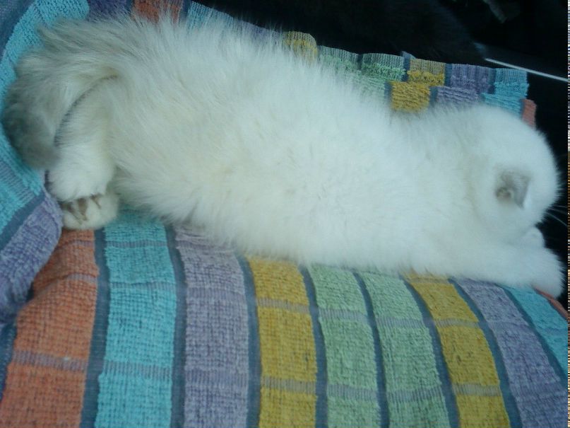 Жанна Авдонина | Уварово