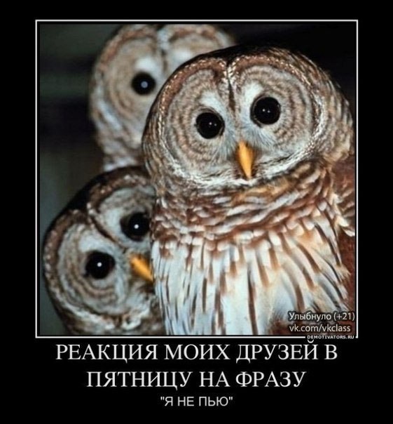 Юрий Макаренков | Санкт-Петербург