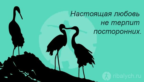 №61, Светлана Омрада, 47 лет, Челябинск №61, Светлана Омрада, 47 лет, Челябинск