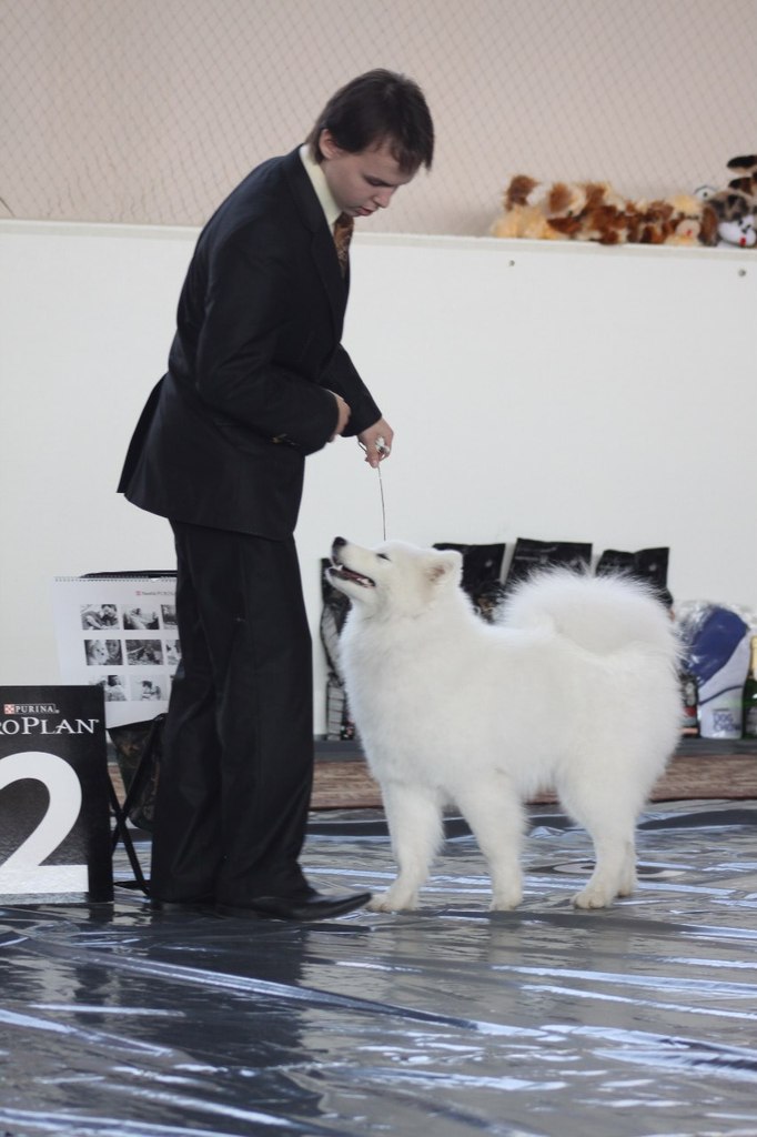 Егор Смолдырев | Иннополис