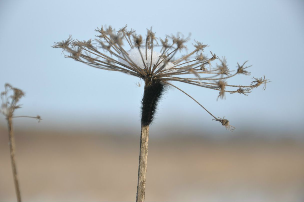 Галина Сарвина | Москва