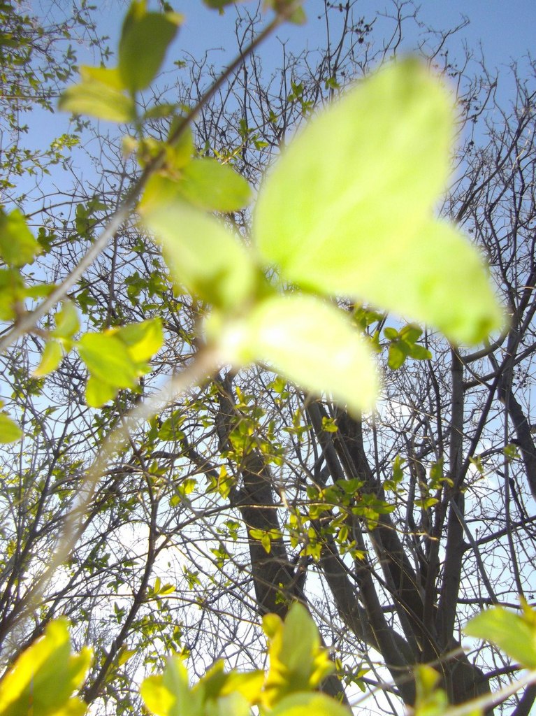 Вера Новосельцева | Одесса