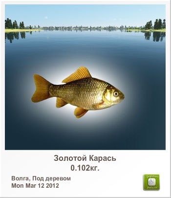 Карен Антонян | Ереван