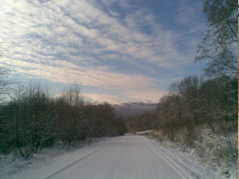 Вячеслав Потапов | Воронеж