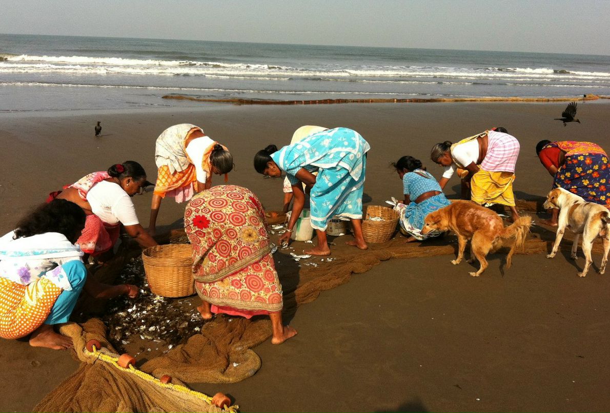 Анна Девицкая | Москва