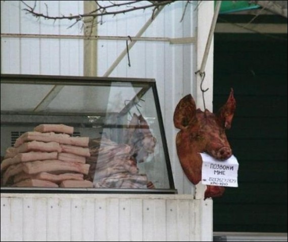 №15, Васильок Дубин №15, Васильок Дубин