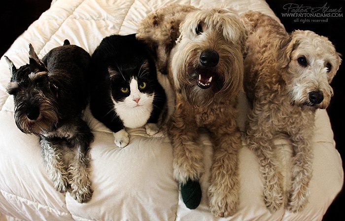 Анастасия Шестакова | Волгодонск