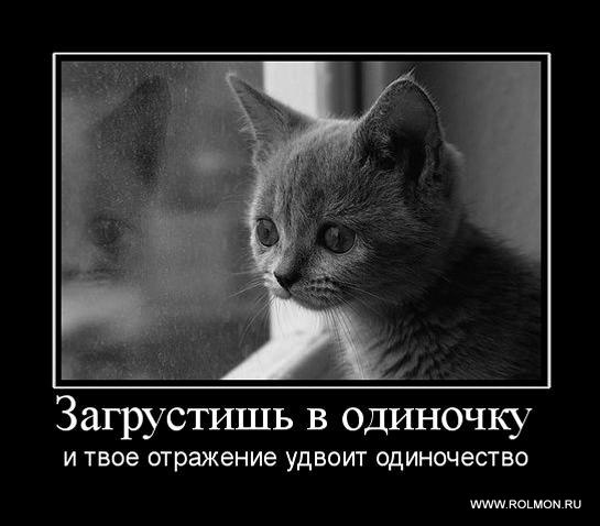 Алексей Бондаренко | Казань