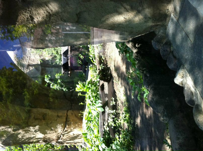 Oksana Andreeva | Tokyo