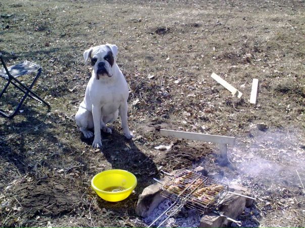 №199, Татьяна Голенева, Одесса №199, Татьяна Голенева, Одесса