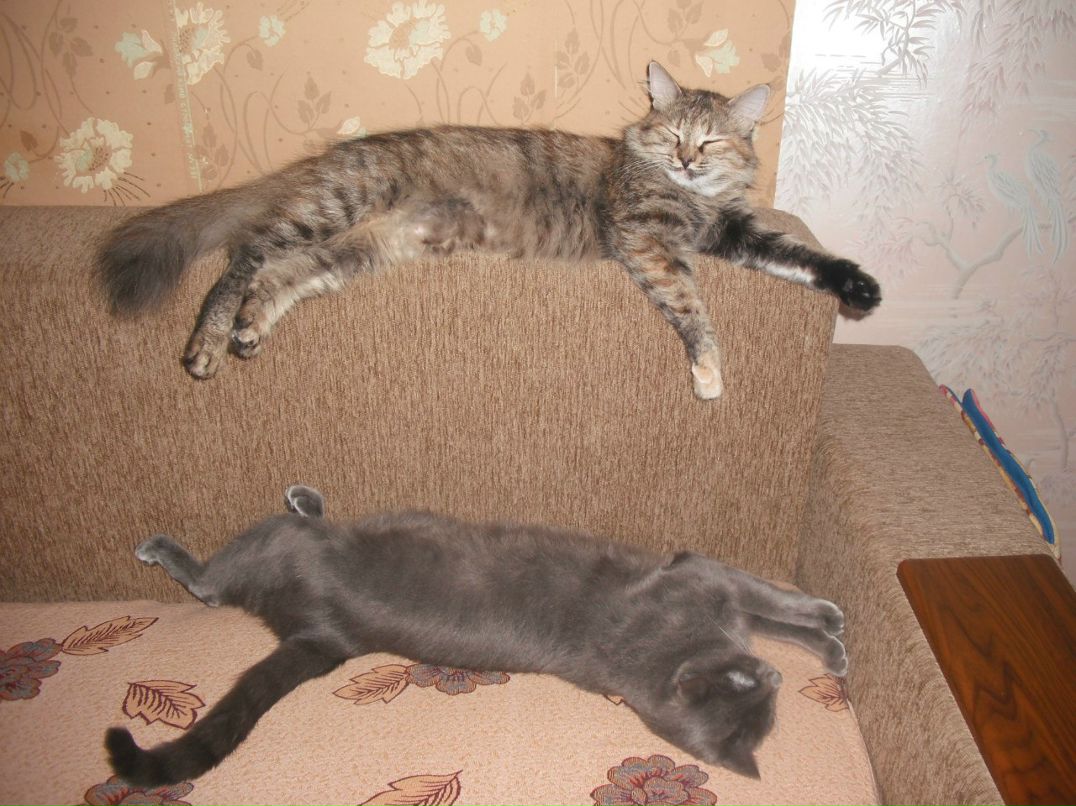 Любовь Попова | Ростов-на-Дону