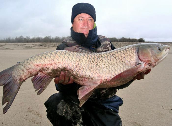 Valeriy Nazarov | Херсон