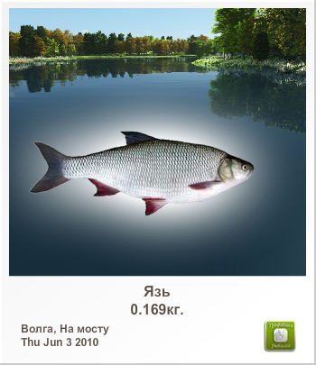 Денис Шлейгер сергеевич | Саратов