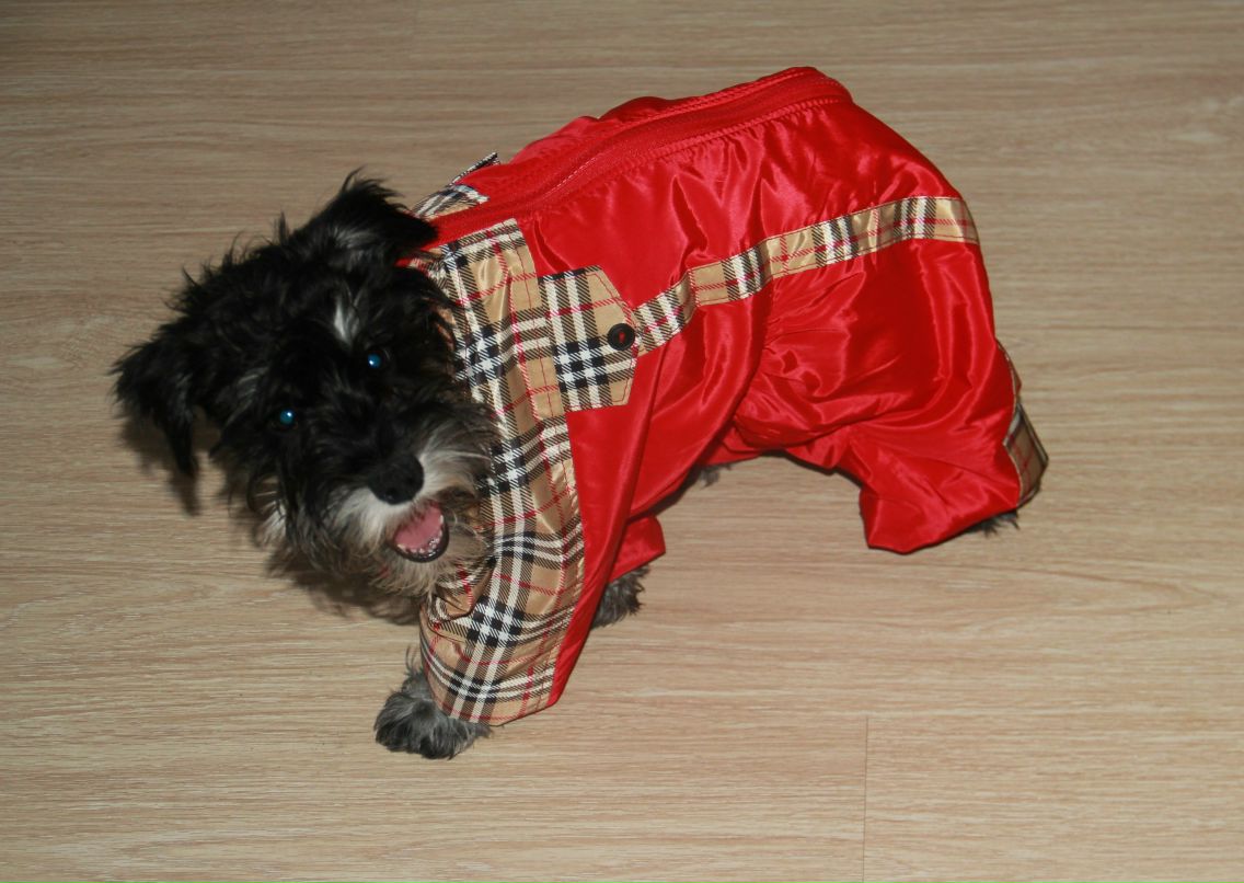 Маша Mahamantra Джонни | Уфа