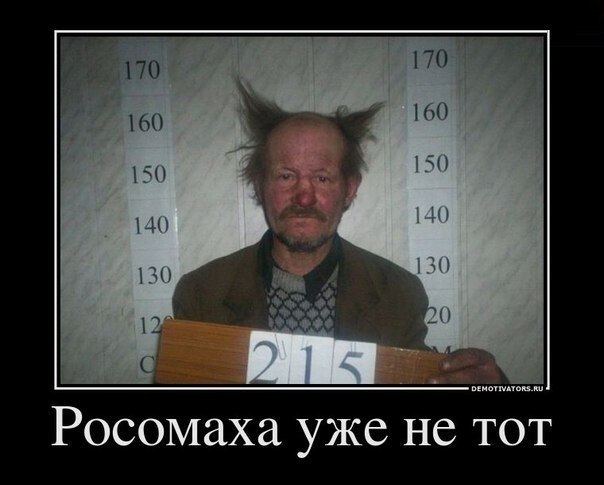 Шурик Яковлев -√V╾√V╾√\╾^√╾╾╾╾ | Санкт-Петербург
