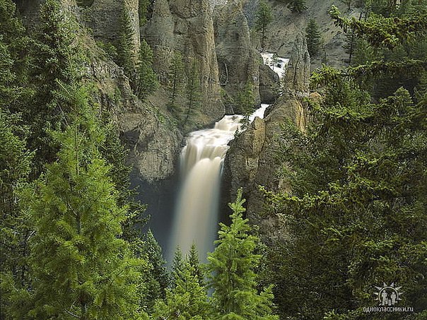 №16, Антон Завірюха, Буки №16, Антон Завірюха, Буки