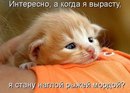 Фотография Лещенко Ольги