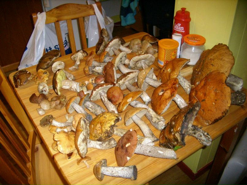 Дарья Малюта | Минск