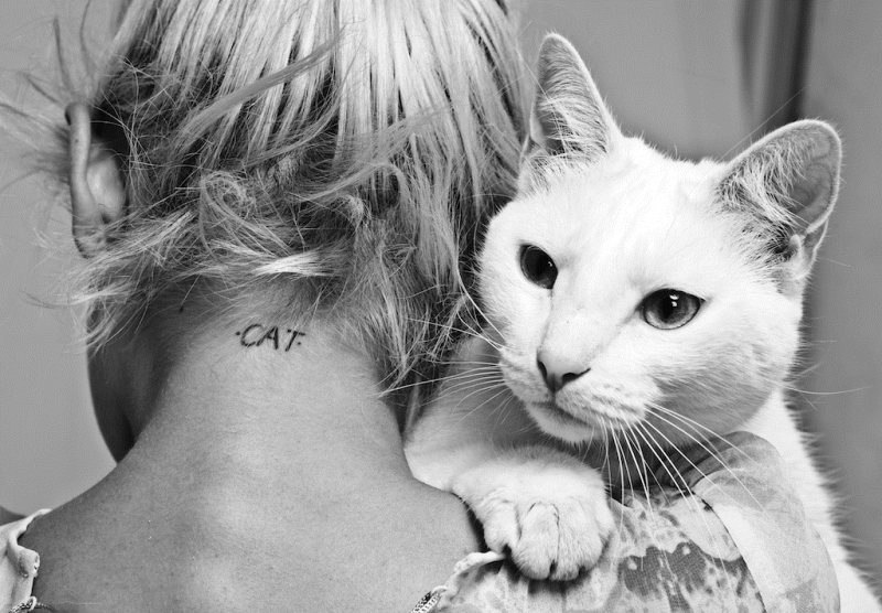 Екатерина Харламова | 