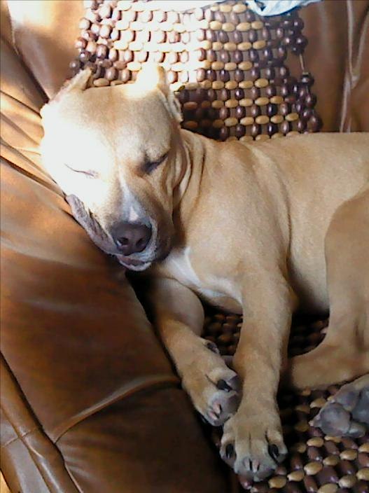 Ванька Клименков | Киев