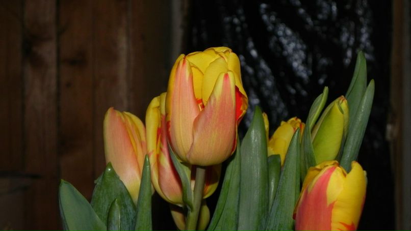 Александр Бабушкин | Москва