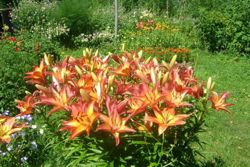 Нина Беляева | Вологда