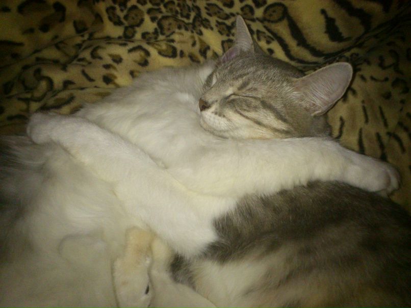 Татьяна Губенко | Краснодар