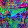Аватар: Rasta Grib