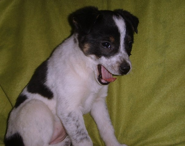 Санька Родионова | Москва