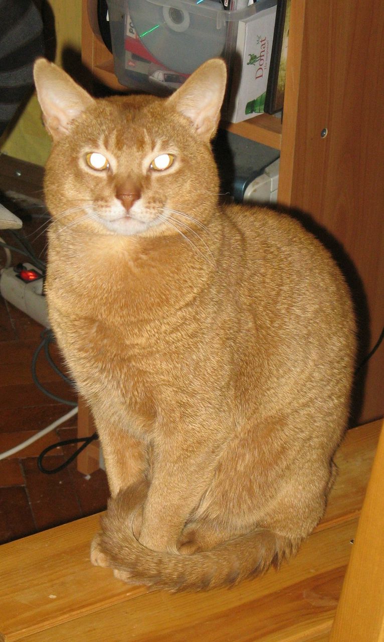 Маргарита Семёнова МАРГОША- **девушка  хорошая*** | Санкт-Петербург