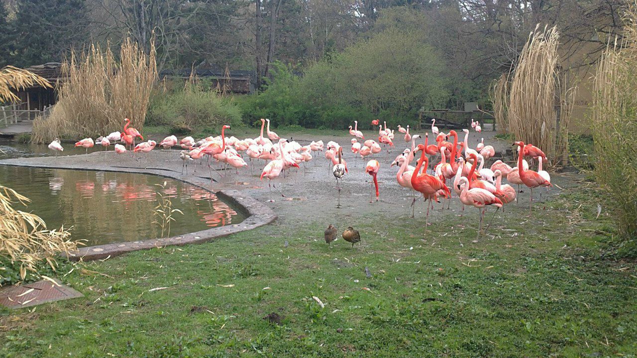 Егор Ульянов | Курган