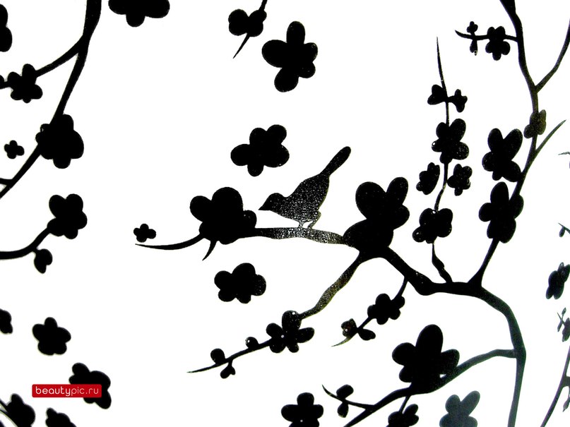 Рома Уланов | Краснодар