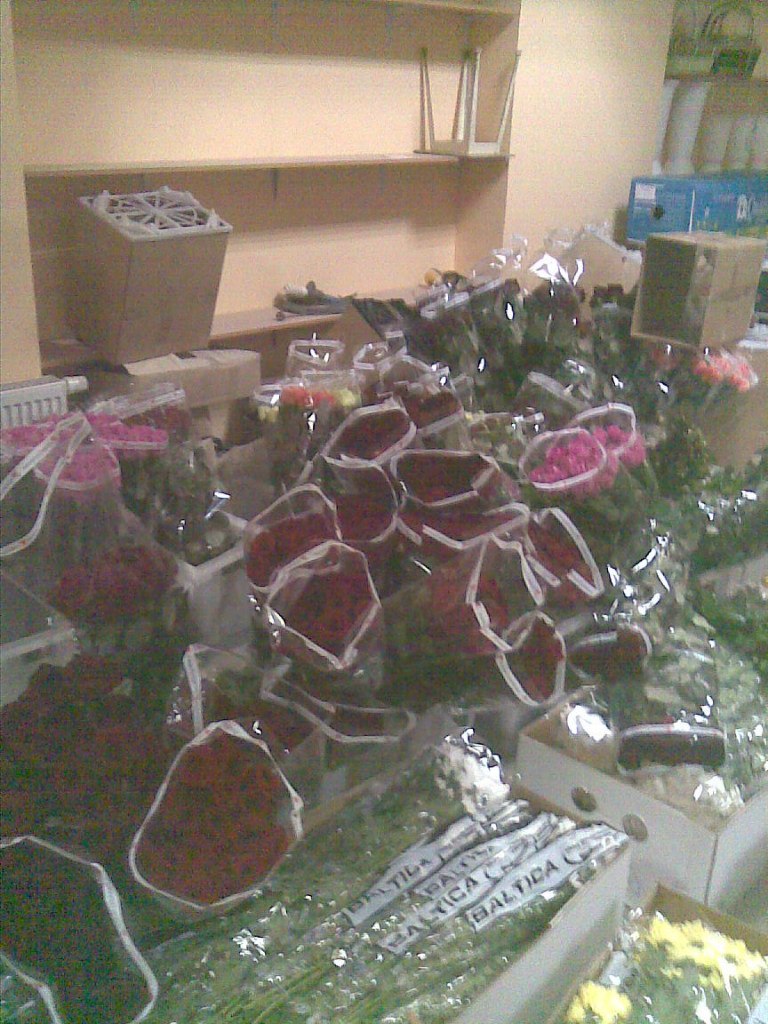 Алексей Семин | 