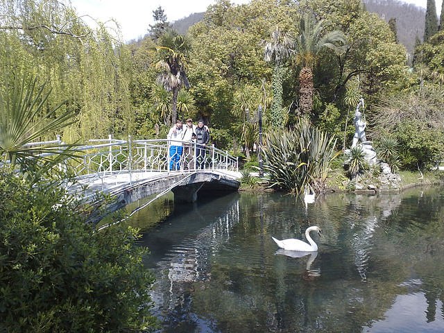 Магомед Магомедов | Сочи