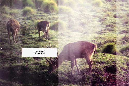 Маша Малозовская | 