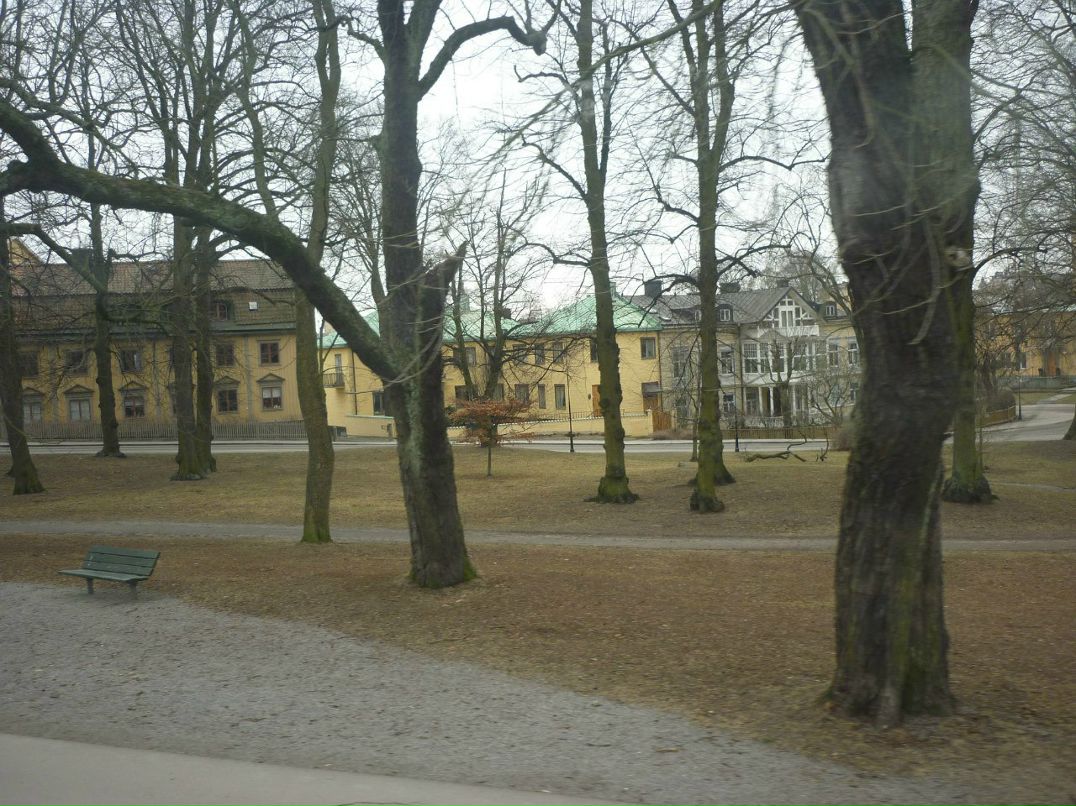 Любовь Кухтина | Санкт-Петербург