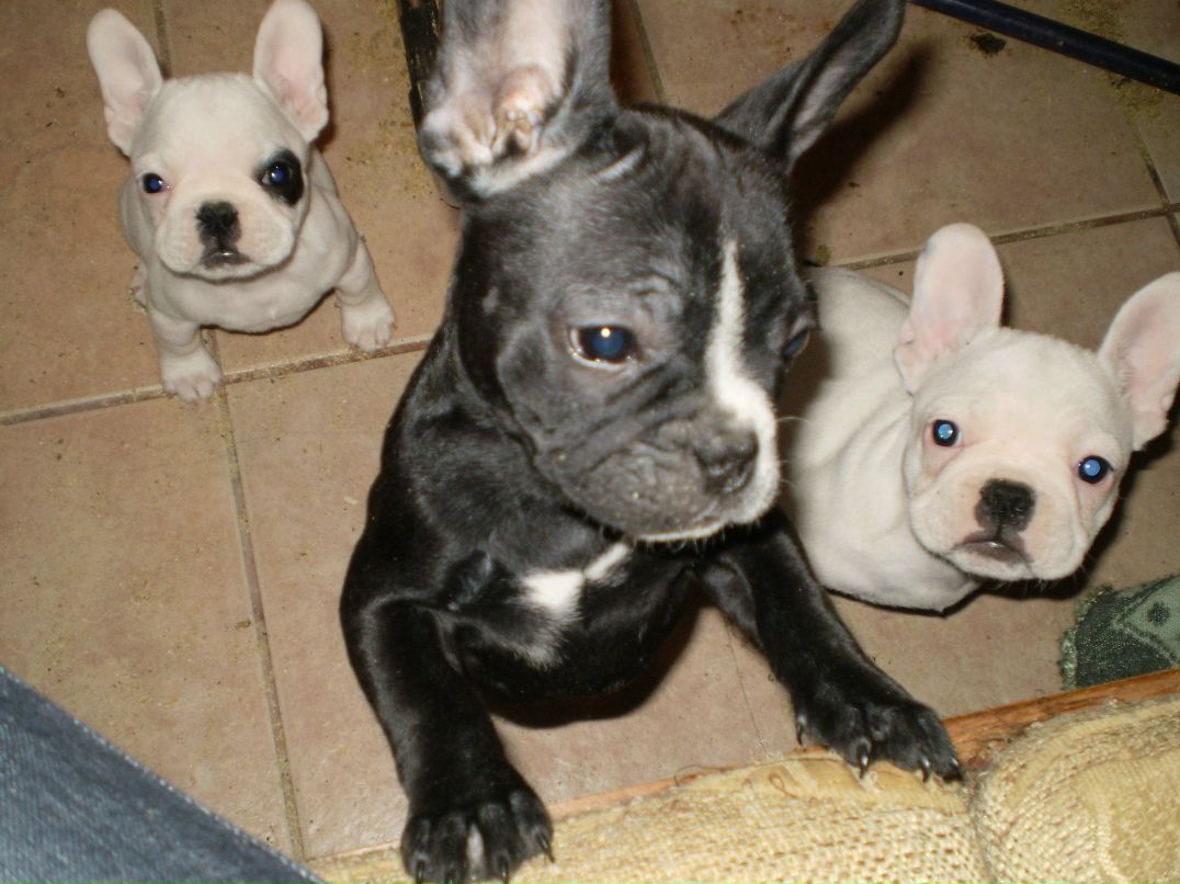 Сергей Демух | 