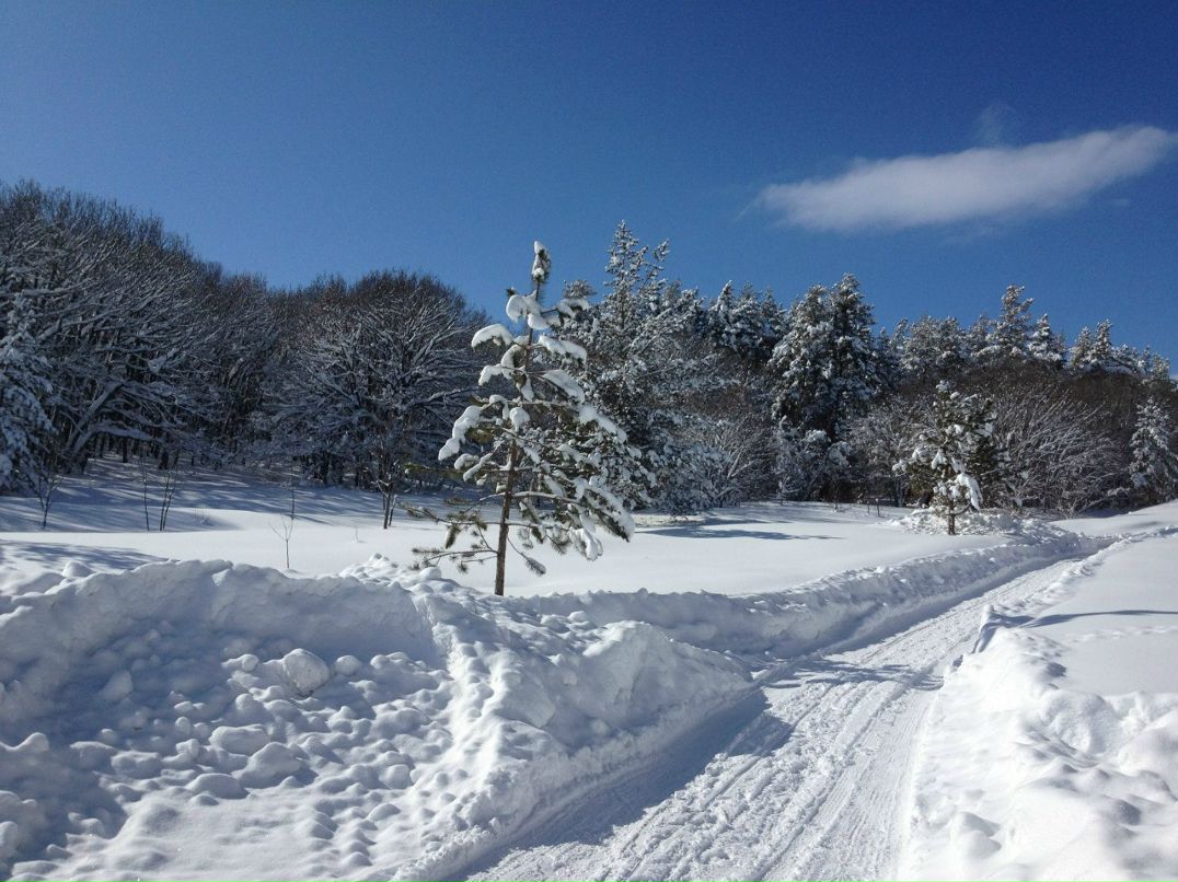 Александр Дудик | Краснодар