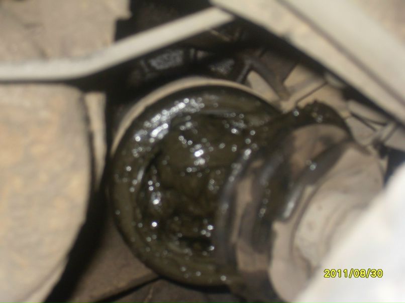 Сергей Шкамарда | Череповец