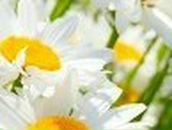 Маша Киселёва | Калуга (деревня)