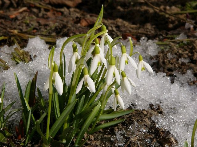 Юлия Филиппова | Самара