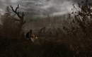 Фотография Матвей Волков