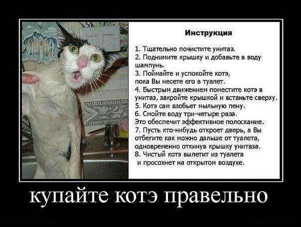 Vova Balanovskiy Евгеньевич | Донецк