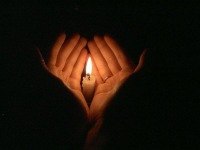 Виктория Митрохова | Запорожье